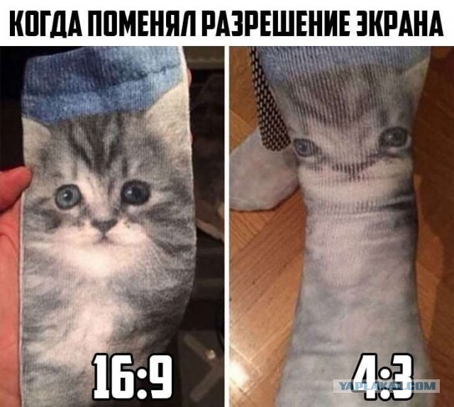 Немного картинок для настроения 16.01.20