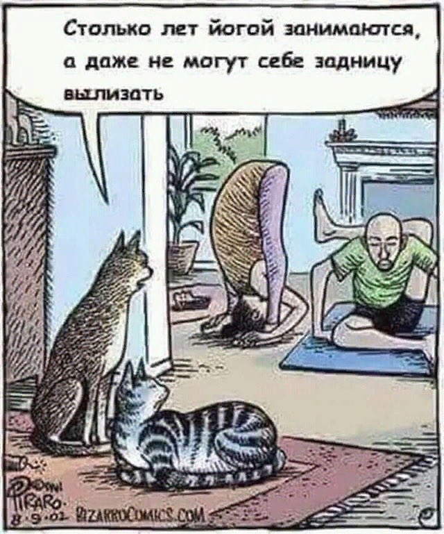 Чуток картинок 11.04.20