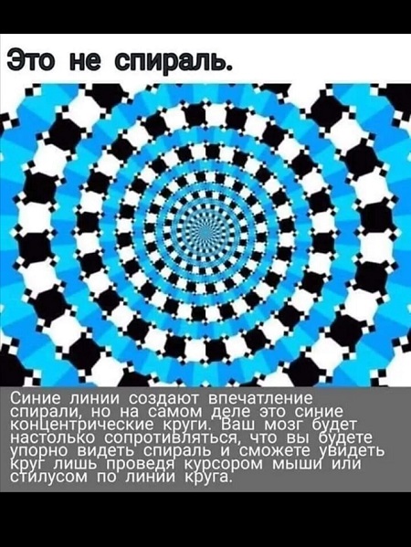Дурацкие картинки