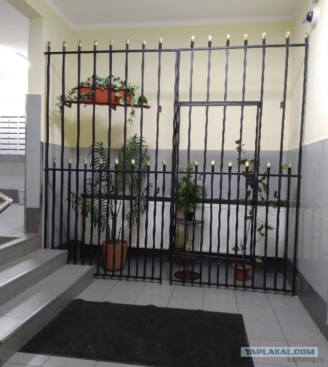 Россия изнутри