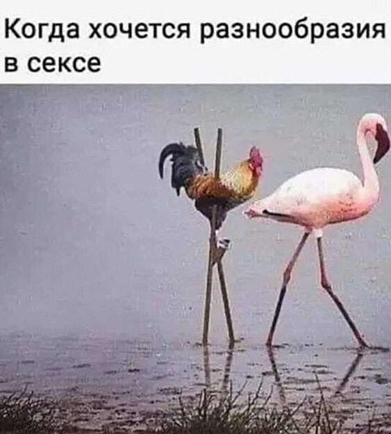 Немного картинок для настроения 19.09.20