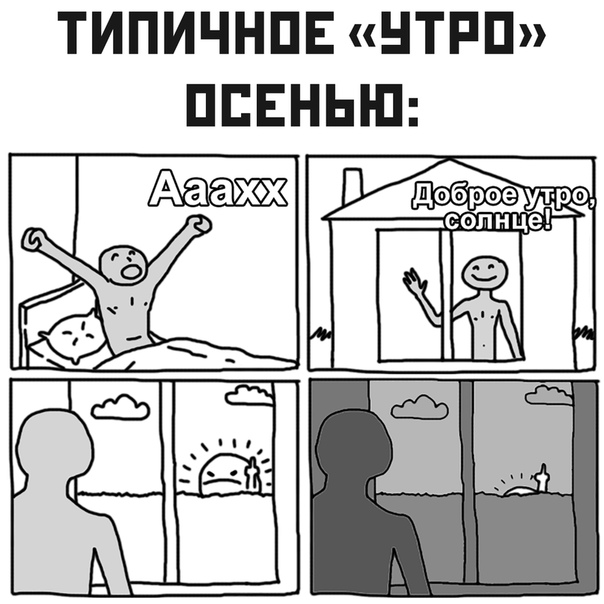 Немного картинок для настроения 05.11.20