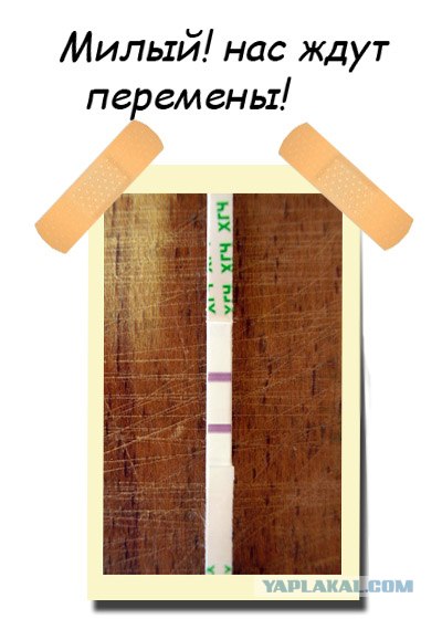 Фотожаба: Пластырь