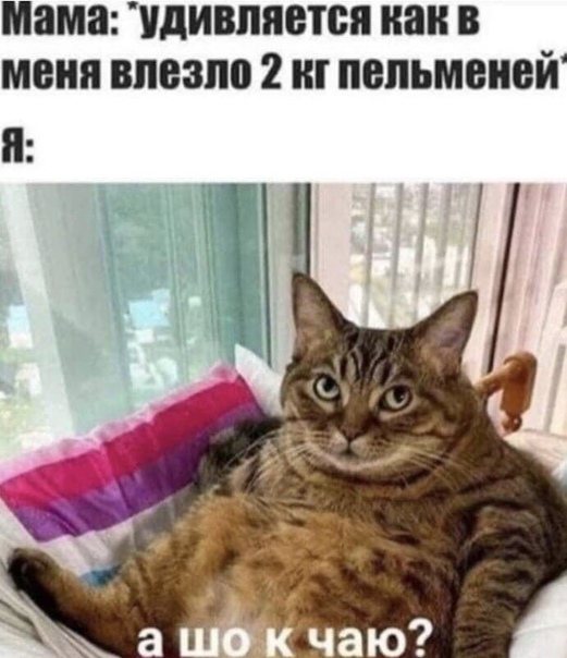 Баянисто-небаянистый юмор 7.11.20