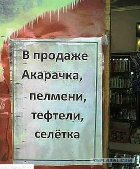 4 картинки