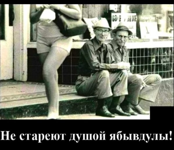 Прикольные и просто красивые картинки 08.12.2020