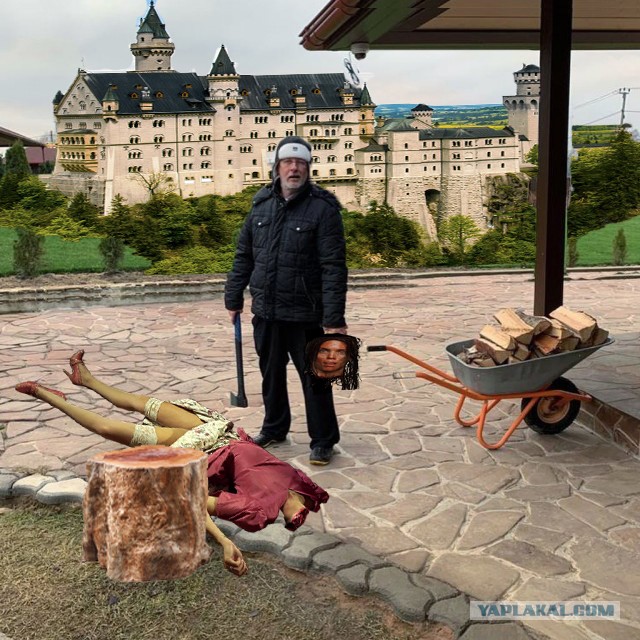 Дровишки в баню или "Гоблин" Пучков попал на фотожабу
