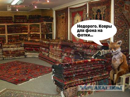 Таксидермия + наркомания