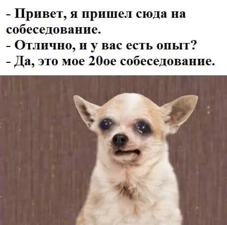 Любимый муж-импотент предлагает завести любовника
