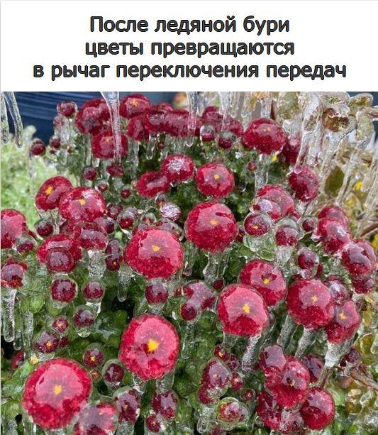 Картинки и мемы для настроения  022