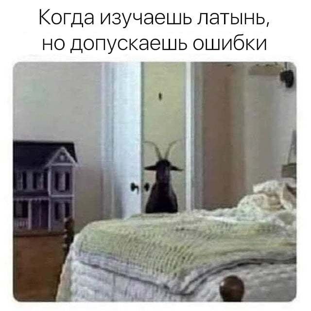35 картинок с надписями 21.05.2021