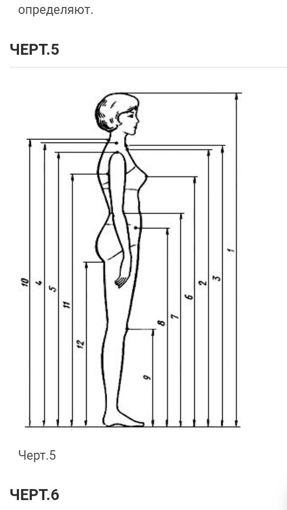 Женская фигура схема. Стандартная фигура. Типовые фигуры женщин. Стандарт женской фигуры в рисунке. Шаблон типовой фигуры женщин.