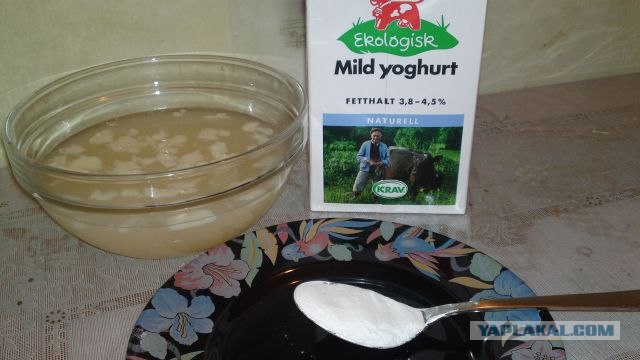 Пятничные посиделки на теплотрассе ©