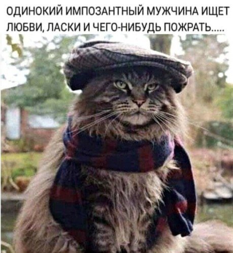 Женщине не знакомы такие слова как «мораль» и «совесть»