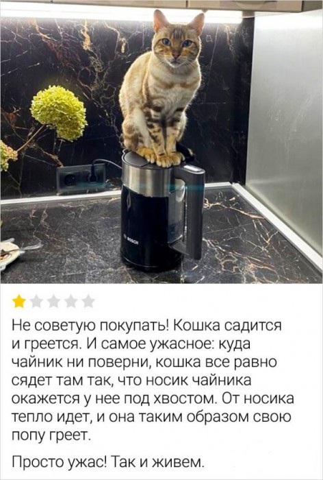 Забавные шутки, картинки и фразы из этих ваших интернетов 23.11.2021
