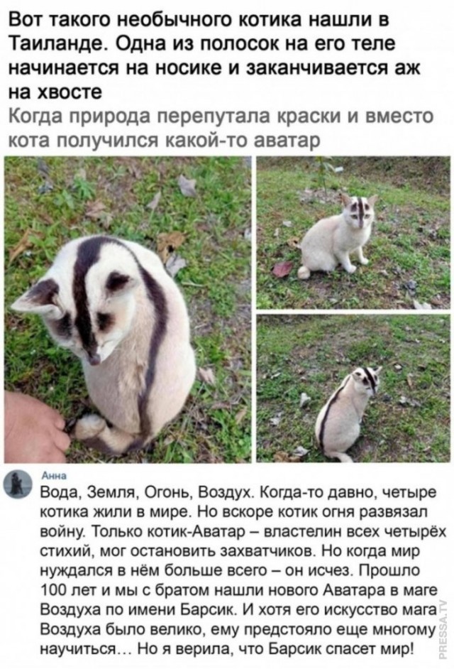 Картинки и мемы для настроения 28.12.2021