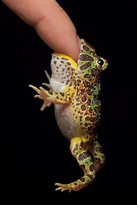 Похмельное утро и картинки на карте