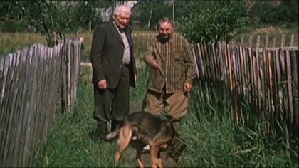 Собаки в кино