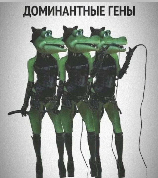 Немного картинок для настроения - 114