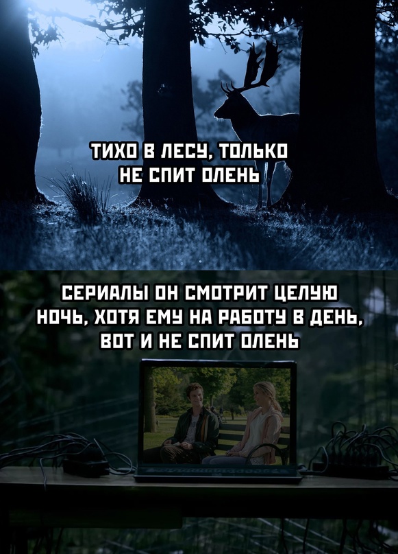Картинки и мемы для настроения - 17