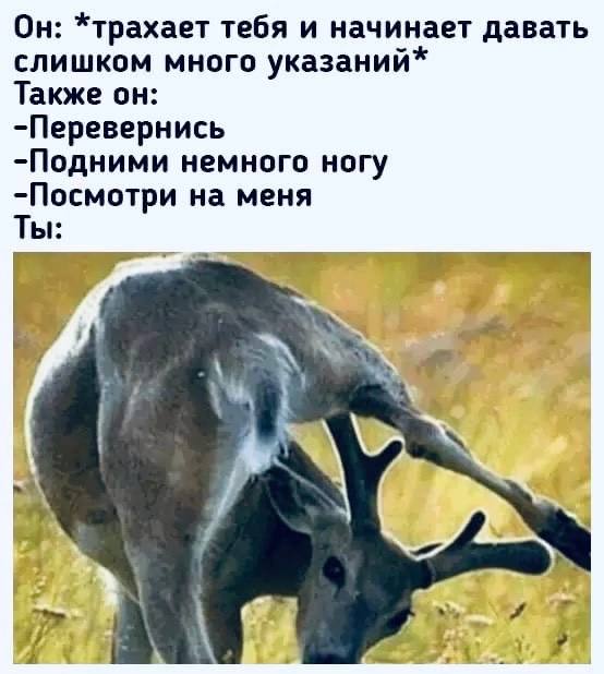 Немного мемчиков. Для взрослых. Часть 16