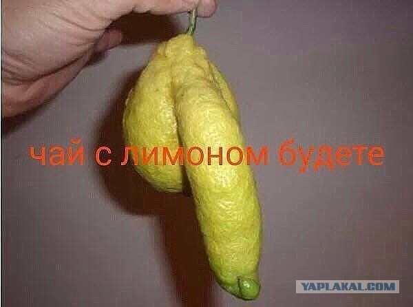 Скриншоты и комментарии из социальных сетей 10.12.22