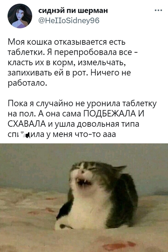 Картинки и мемы, всем хороших выходных