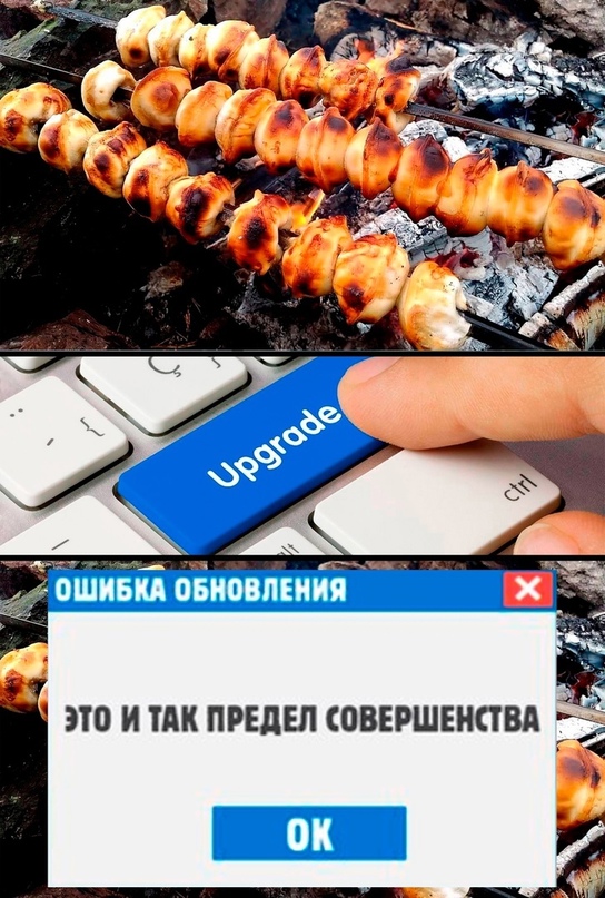 Весёлый полтишок 03.09.23