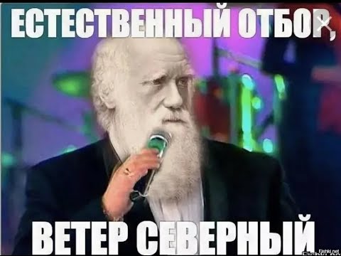 В Белгородской области в тероборону вступили муж, жена и их 11-летний сын