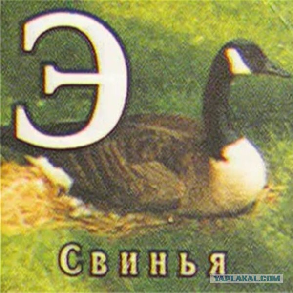 Так себе картинки 28.10.23
