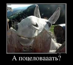 Любовь под прицелом