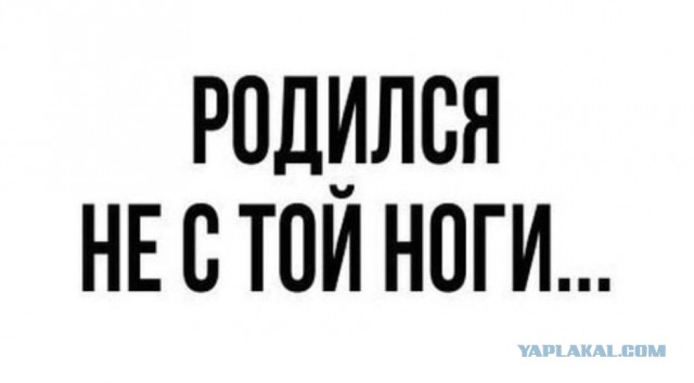 Всего понемногу. От 22.07.24