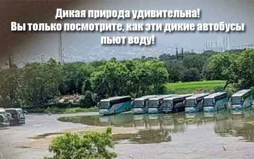 Пятничная солянка