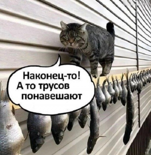 Кожаный, рыбов давай!