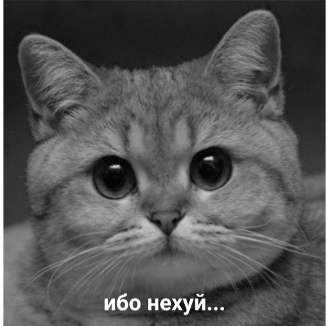 Уроки французского.