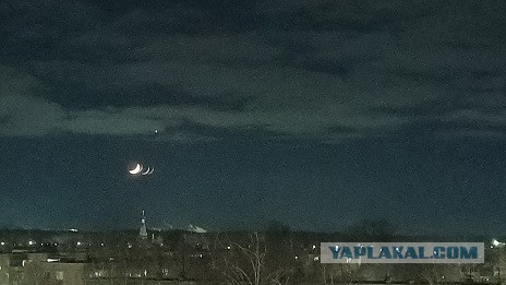 Венера в самом соку