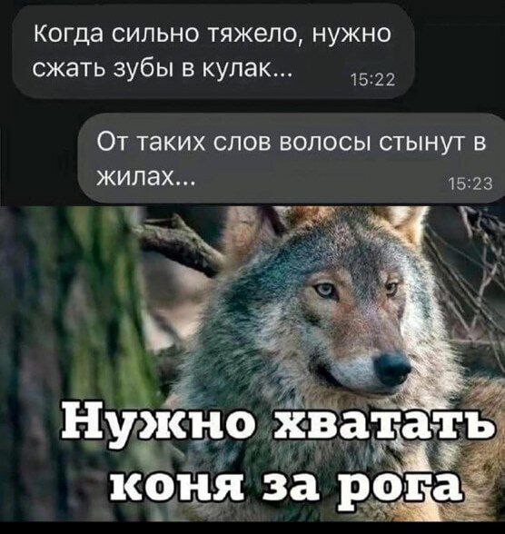 Всего понемногу. От 06.02
