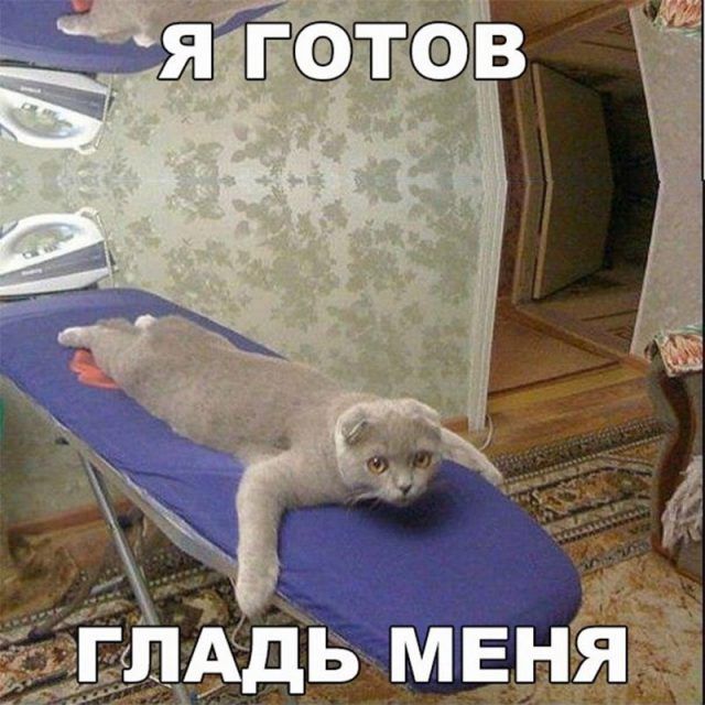 Завалялось тут случайно немного забавных картинок