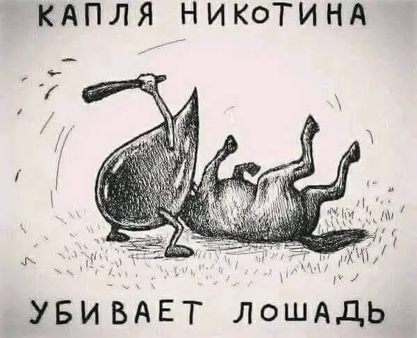 Пятничные бояны