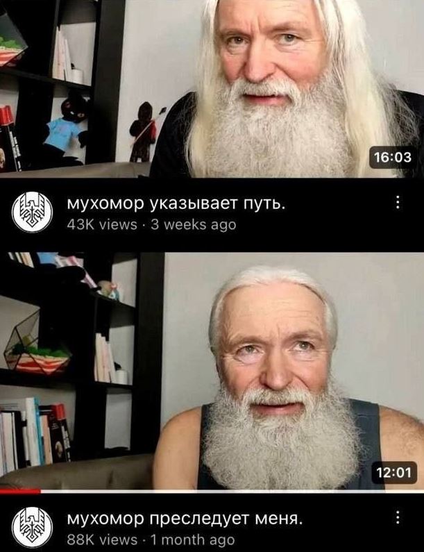 Едоки мухомора
