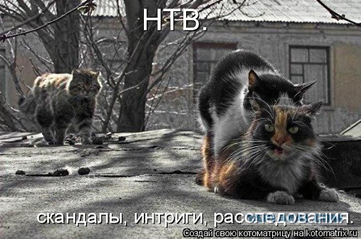 Многодетный отец узнал, что четверо из пяти детей - не его: Как сложилась жизнь обманутого мужа