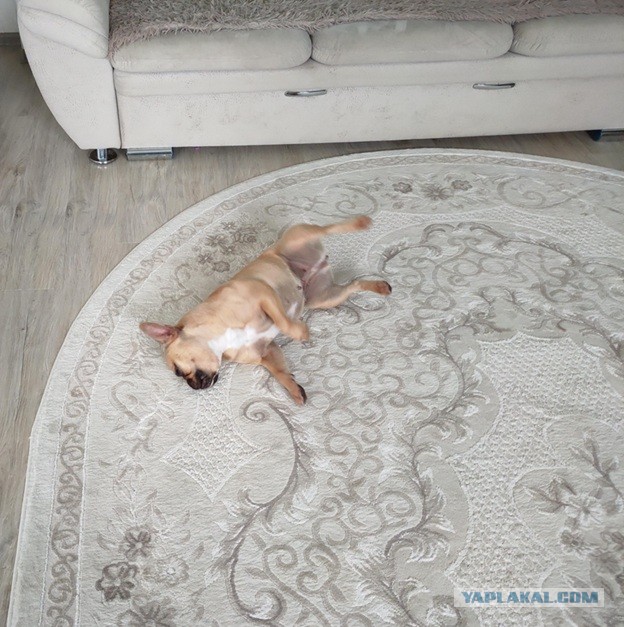 Да я просто полежу. Кому я мешаю?