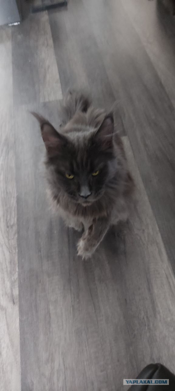 Возвращение доверия