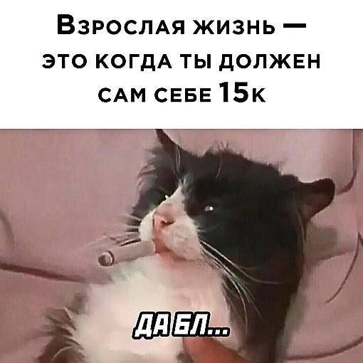 Картинки для деградации 108 (разной степени свежести)
