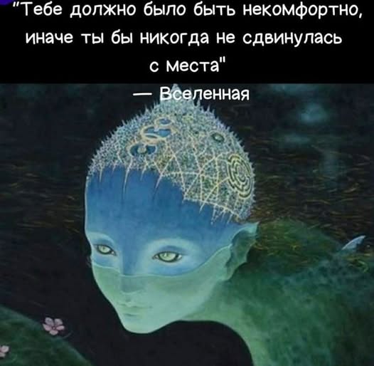 Так себе картинки 24.12.25