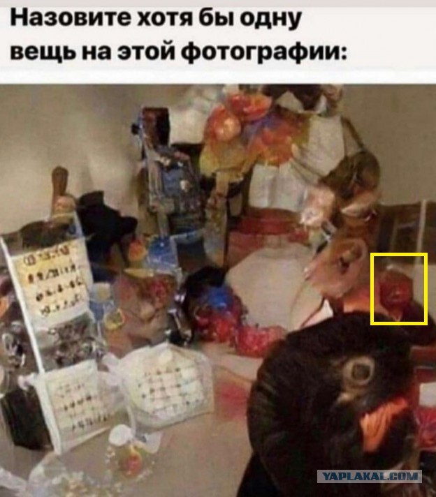 Веселые картинки _)