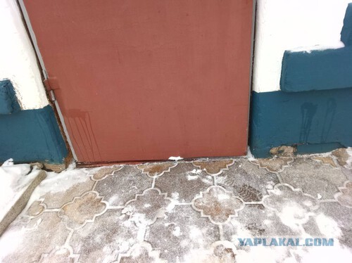 Хозяевам не прокастрированных котов  на самовыгуле!????