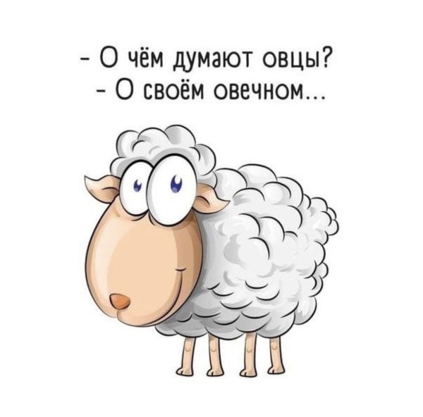 Валентина Терешкова подала документы на участие в праймериз «Единой России»