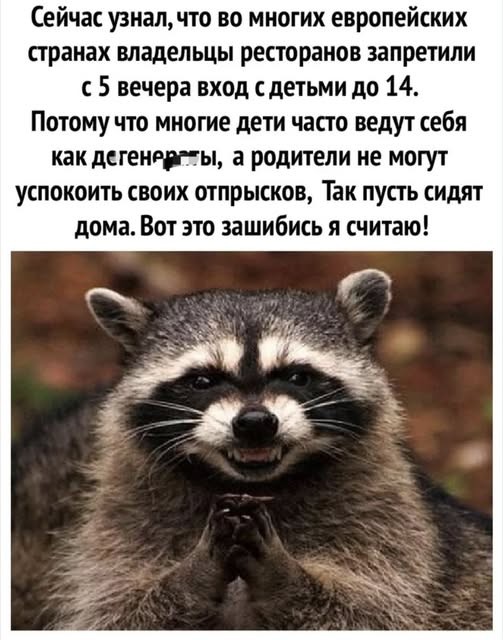 Среда - это же почти пятница, да?