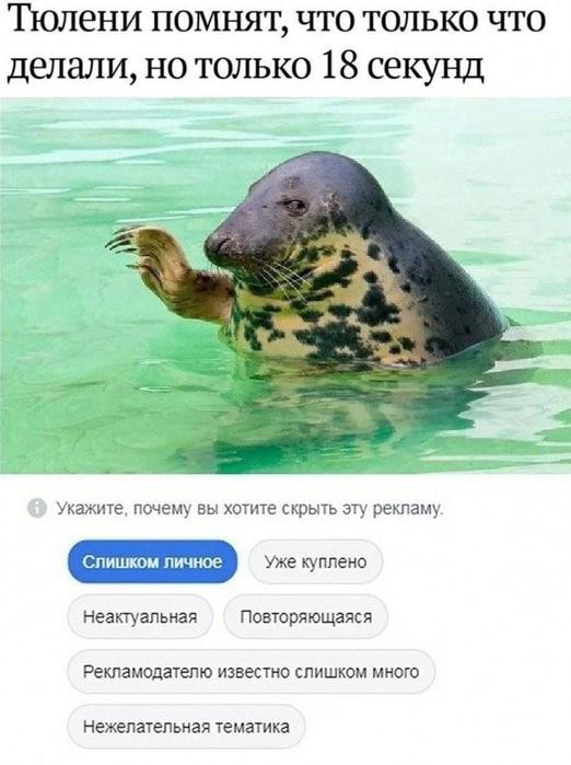 Картинки для деградации 230 (разной степени свежести)